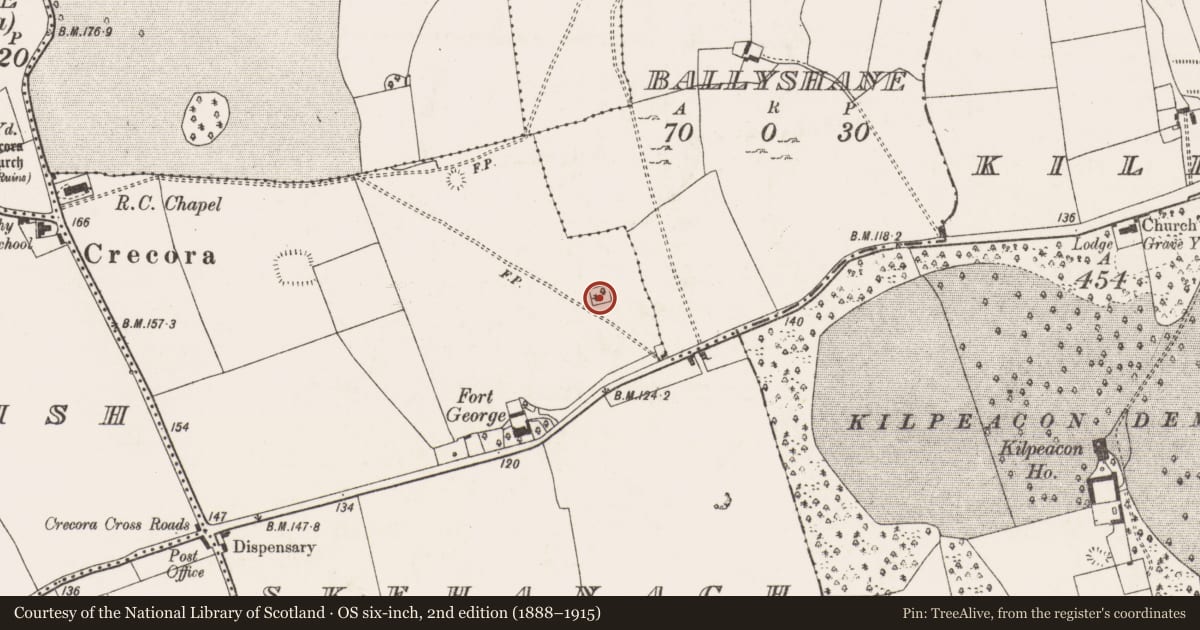 Ordnance Survey six-inch map, 2nd edition (1888–1915) covering the location of Moated site, Skehanagh, County Limerick, with a pin at the register's coordinates