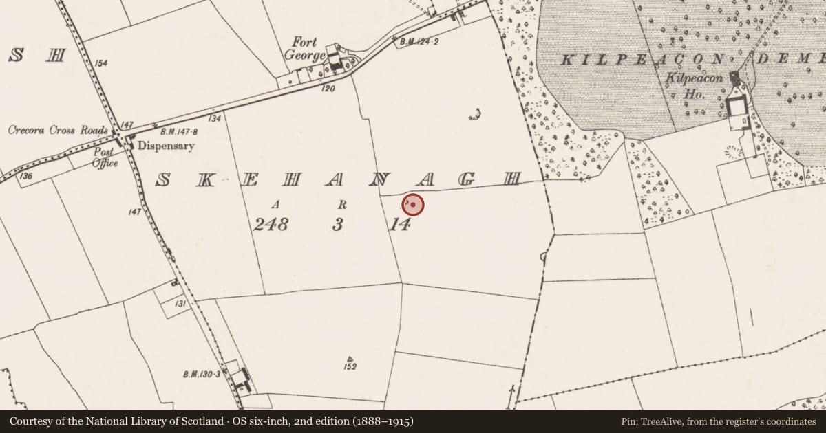 Ordnance Survey six-inch map, 2nd edition (1888–1915) covering the location of Enclosure, Skehanagh, County Limerick, with a pin at the register's coordinates