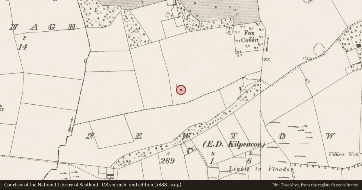 Ordnance Survey six-inch map, 2nd edition (1888–1915) covering the location of Enclosure, Kilpeacon, County Limerick, with a pin at the register's coordinates