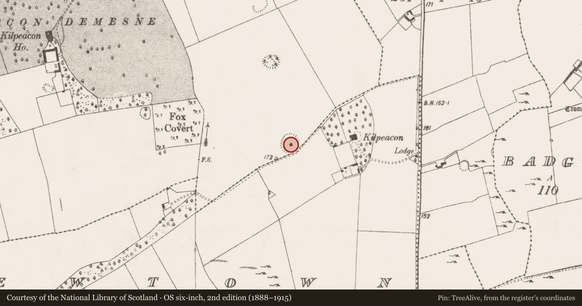 Ordnance Survey six-inch map, 2nd edition (1888–1915) covering the location of Ringfort - rath, Kilpeacon, County Limerick, with a pin at the register's coordinates