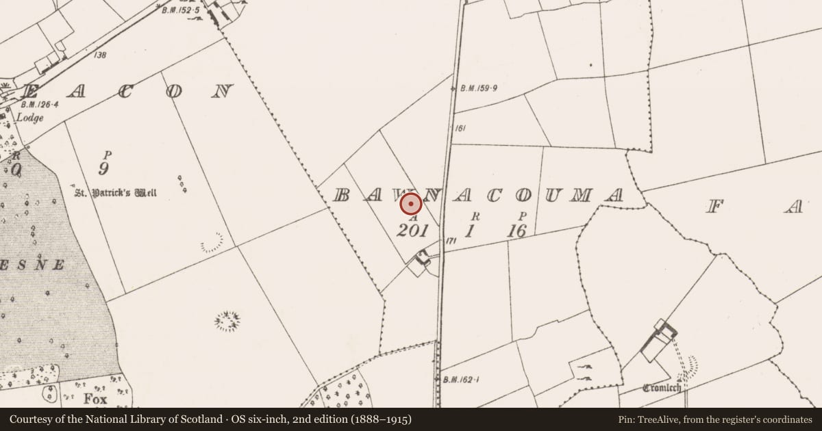 Ordnance Survey six-inch map, 2nd edition (1888–1915) covering the location of Enclosure, Bawnacouma, County Limerick, with a pin at the register's coordinates