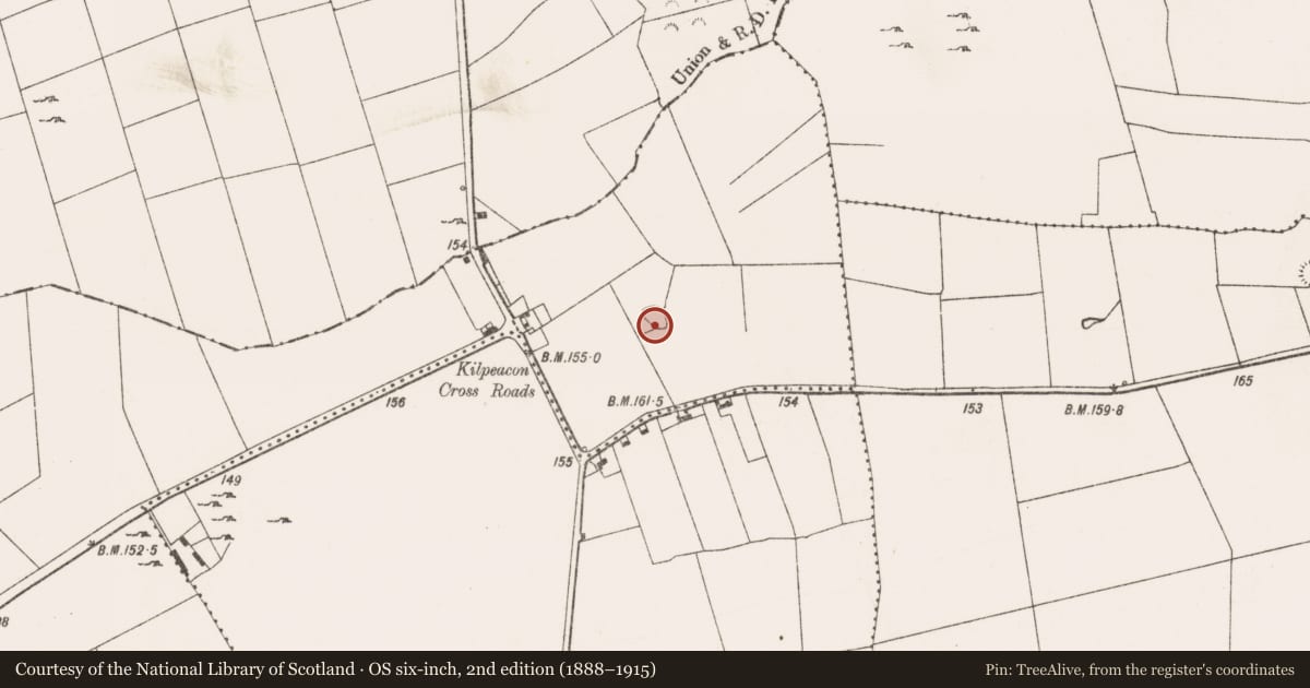 Ordnance Survey six-inch map, 2nd edition (1888–1915) covering the location of Ringfort - rath, Kilpeacon, County Limerick, with a pin at the register's coordinates