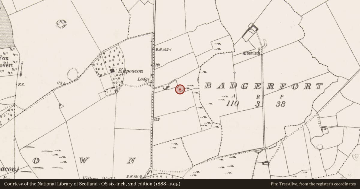 Ordnance Survey six-inch map, 2nd edition (1888–1915) covering the location of Ringfort - rath, Bawnacouma, County Limerick, with a pin at the register's coordinates
