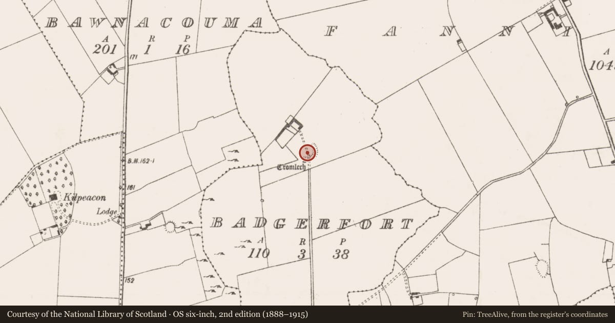 Ordnance Survey six-inch map, 2nd edition (1888–1915) covering the location of Enclosure, Badgerfort, County Limerick, with a pin at the register's coordinates
