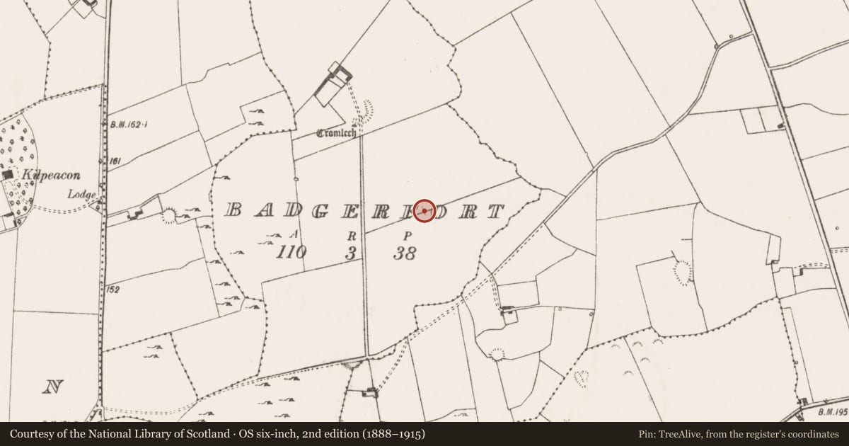 Ordnance Survey six-inch map, 2nd edition (1888–1915) covering the location of Enclosure, Badgerfort, County Limerick, with a pin at the register's coordinates
