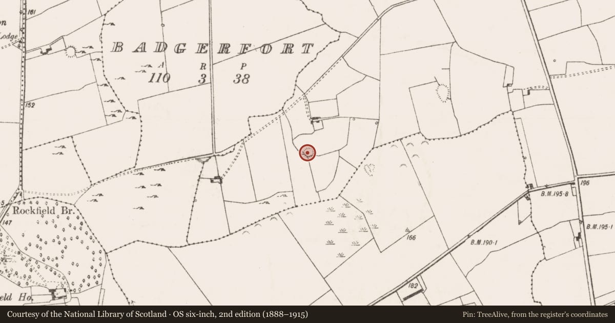 Ordnance Survey six-inch map, 2nd edition (1888–1915) covering the location of Ringfort - cashel, Fanningstown, County Limerick, with a pin at the register's coordinates