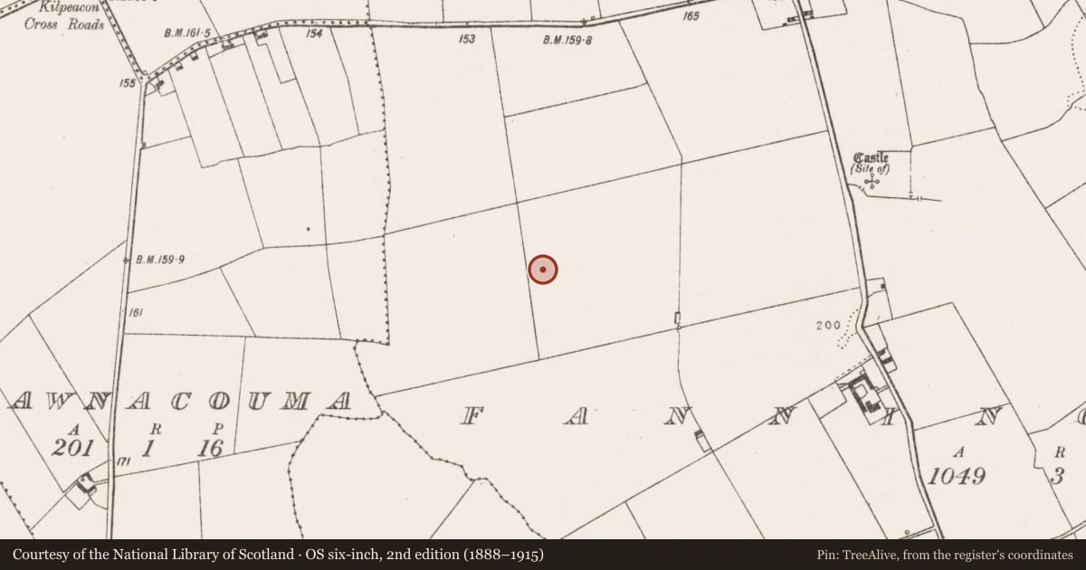 Ordnance Survey six-inch map, 2nd edition (1888–1915) covering the location of Ringfort - rath, Fanningstown, County Limerick, with a pin at the register's coordinates