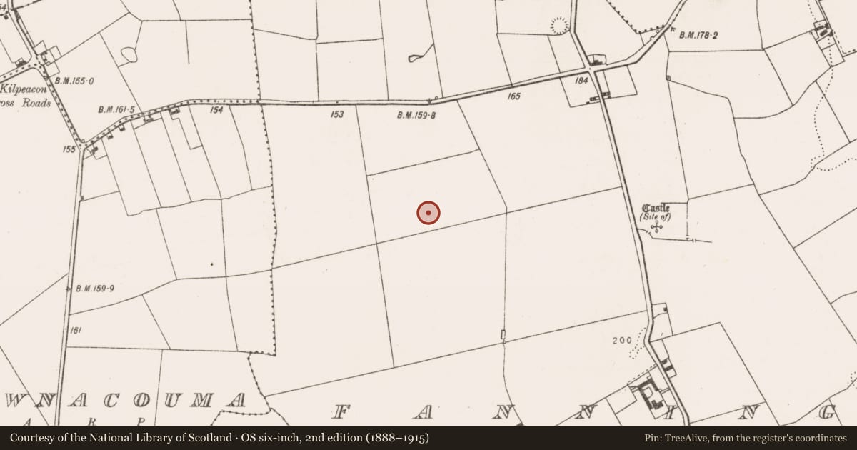 Ordnance Survey six-inch map, 2nd edition (1888–1915) covering the location of Enclosure, Fanningstown, County Limerick, with a pin at the register's coordinates