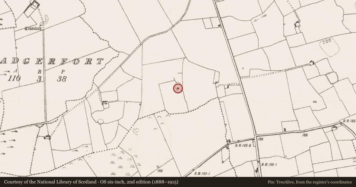 Ordnance Survey six-inch map, 2nd edition (1888–1915) covering the location of Enclosure, Fanningstown, County Limerick, with a pin at the register's coordinates
