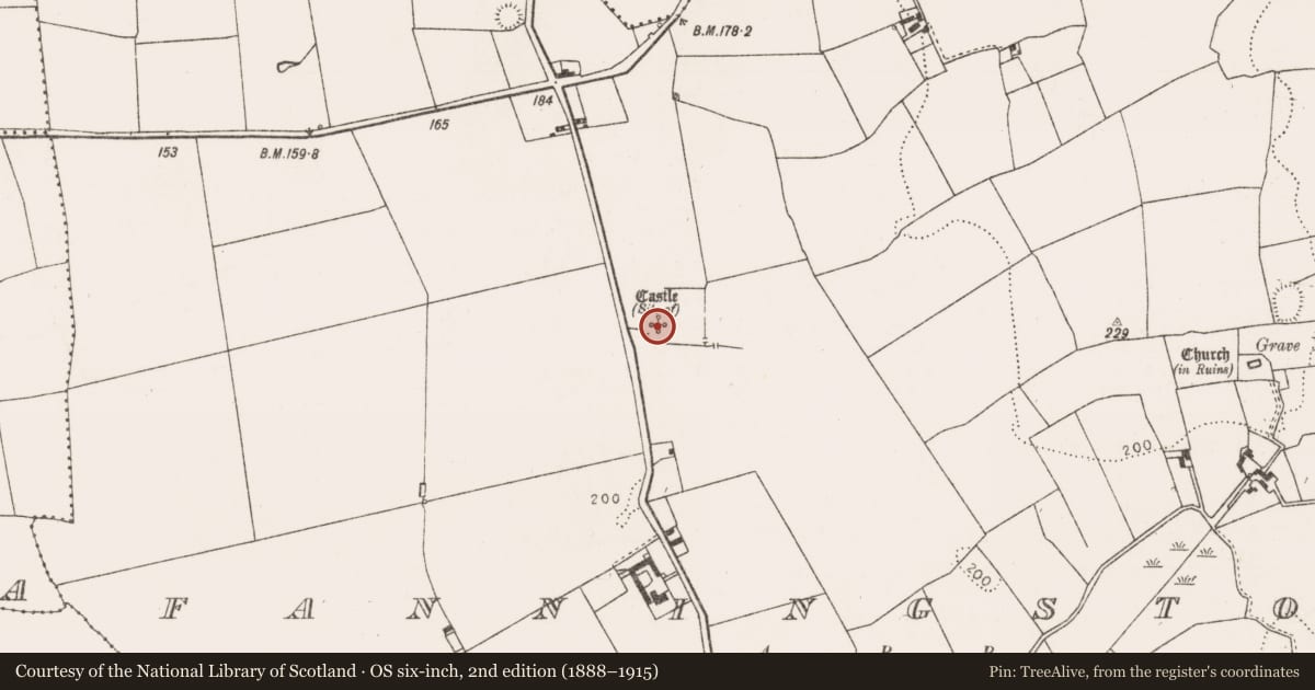 Ordnance Survey six-inch map, 2nd edition (1888–1915) covering the location of Castle - unclassified, Fanningstown, County Limerick, with a pin at the register's coordinates