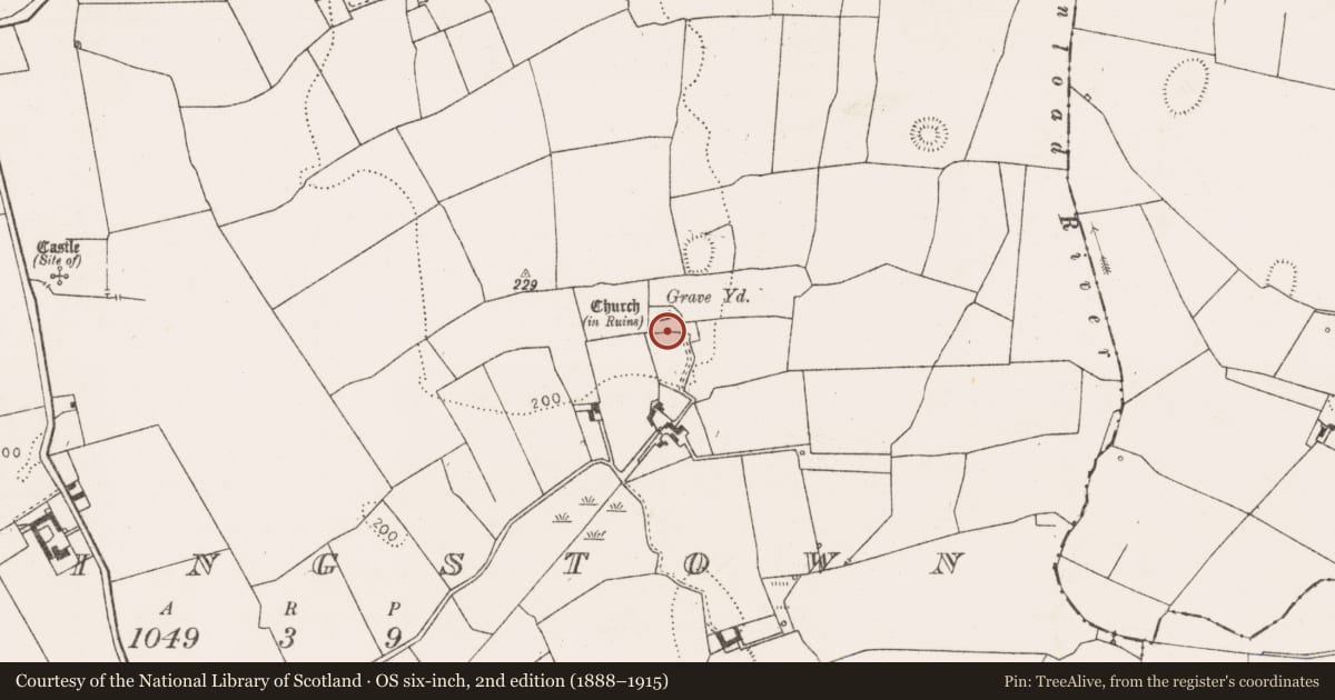 Ordnance Survey six-inch map, 2nd edition (1888–1915) covering the location of Graveyard, Fanningstown, County Limerick, with a pin at the register's coordinates