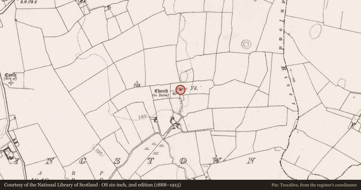 Ordnance Survey six-inch map, 2nd edition (1888–1915) covering the location of Standing stone, Fanningstown, County Limerick, with a pin at the register's coordinates