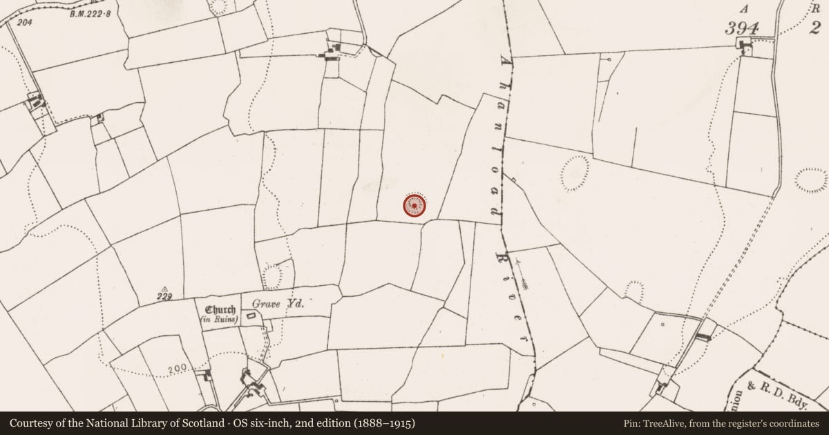 Ordnance Survey six-inch map, 2nd edition (1888–1915) covering the location of Ringfort - rath, Fanningstown, County Limerick, with a pin at the register's coordinates