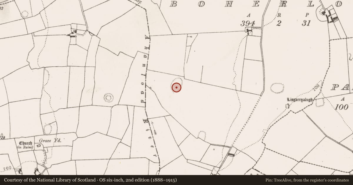 Ordnance Survey six-inch map, 2nd edition (1888–1915) covering the location of Enclosure, Boherload, County Limerick, with a pin at the register's coordinates