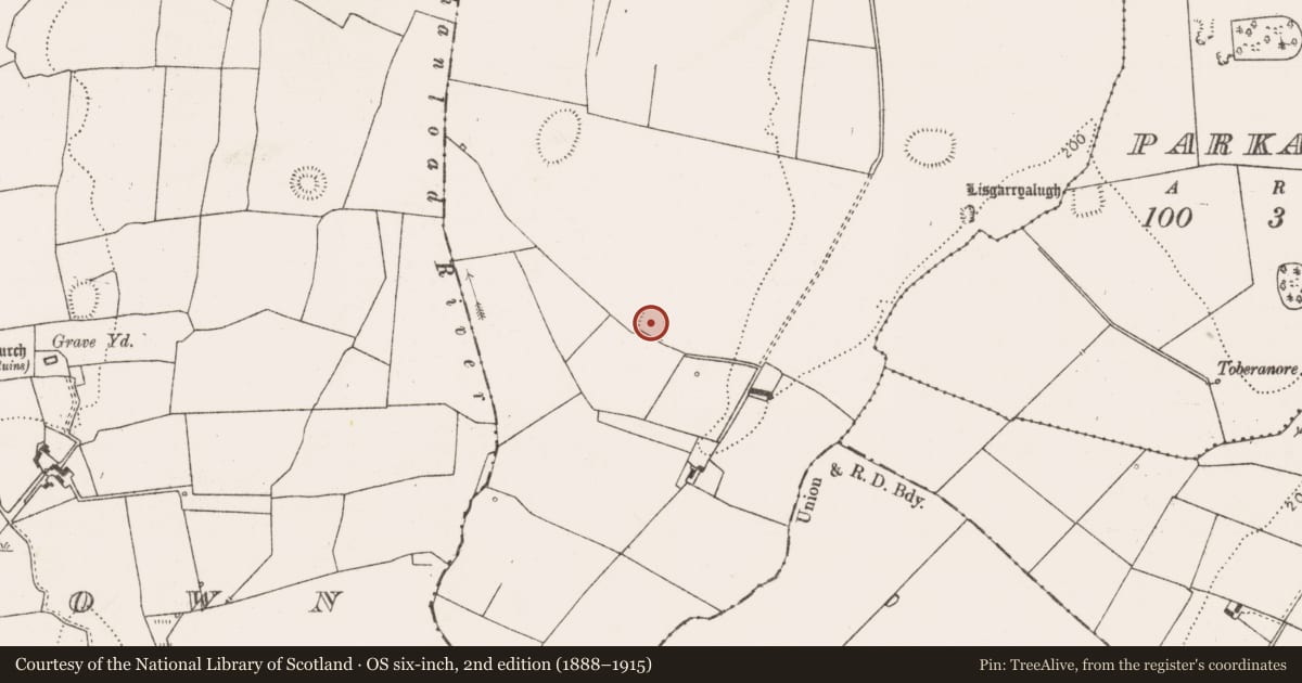 Ordnance Survey six-inch map, 2nd edition (1888–1915) covering the location of Ringfort - rath, Boherload, County Limerick, with a pin at the register's coordinates