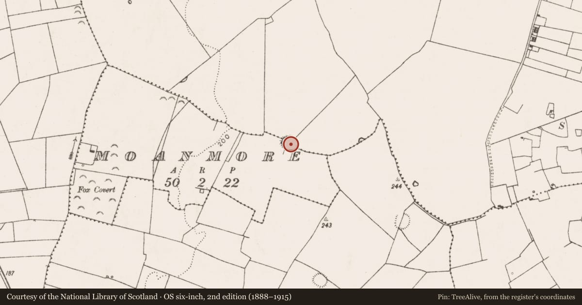 Ordnance Survey six-inch map, 2nd edition (1888–1915) covering the location of Ringfort - rath, Carnane, County Limerick, with a pin at the register's coordinates