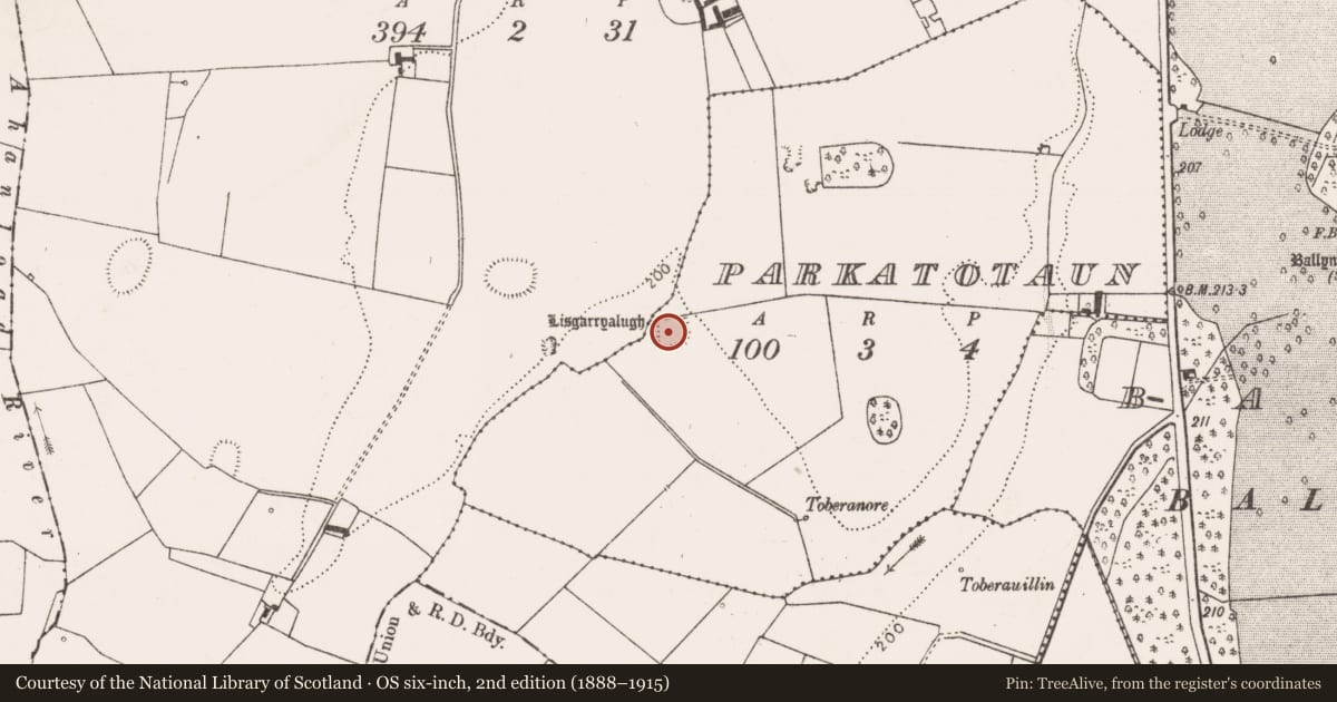 Ordnance Survey six-inch map, 2nd edition (1888–1915) covering the location of Ringfort - rath, Parkatotaun, County Limerick, with a pin at the register's coordinates