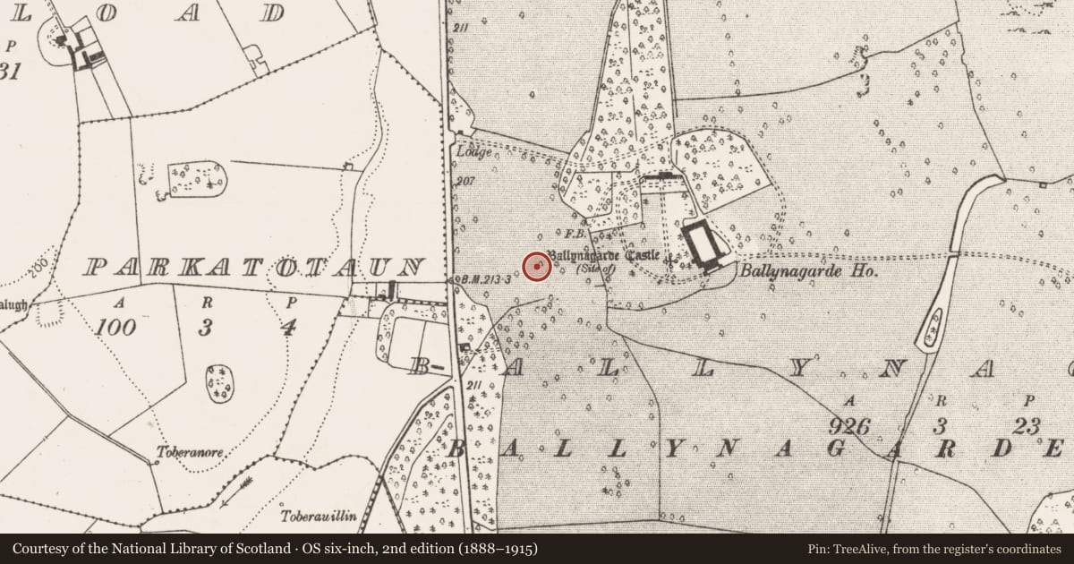 Ordnance Survey six-inch map, 2nd edition (1888–1915) covering the location of Moated site, Ballynagarde, County Limerick, with a pin at the register's coordinates