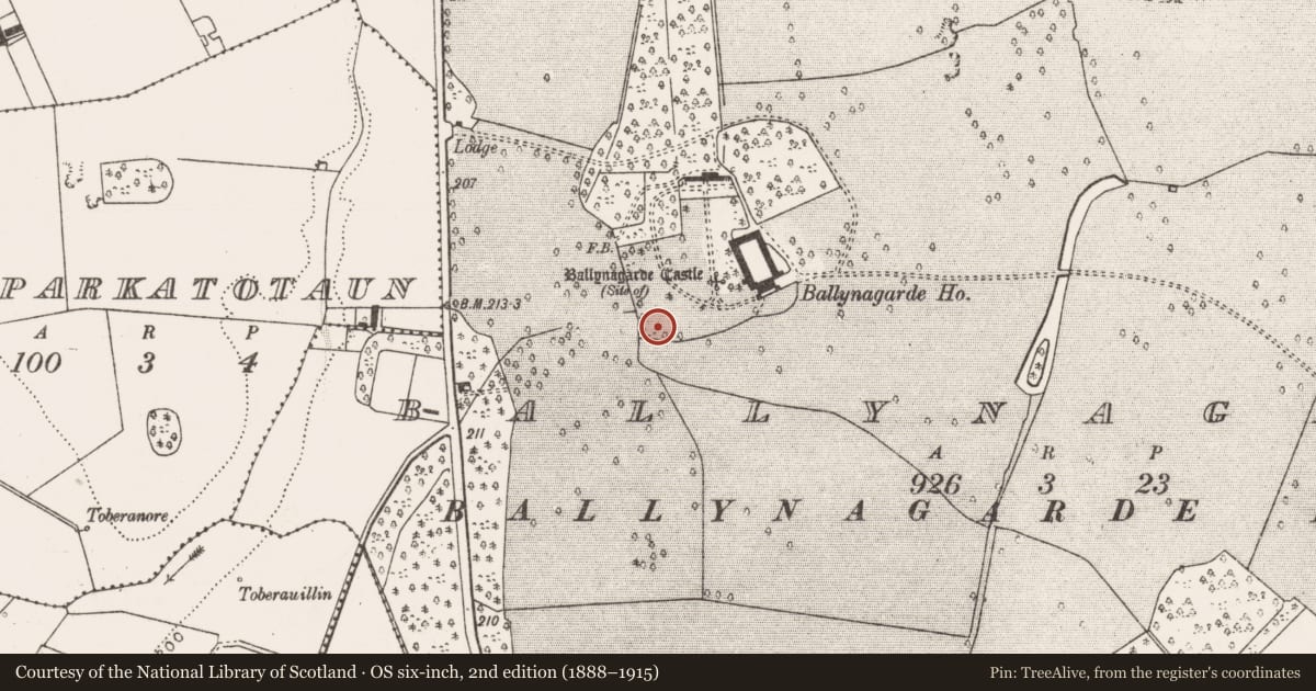 Ordnance Survey six-inch map, 2nd edition (1888–1915) covering the location of Enclosure, Ballynagarde, County Limerick, with a pin at the register's coordinates