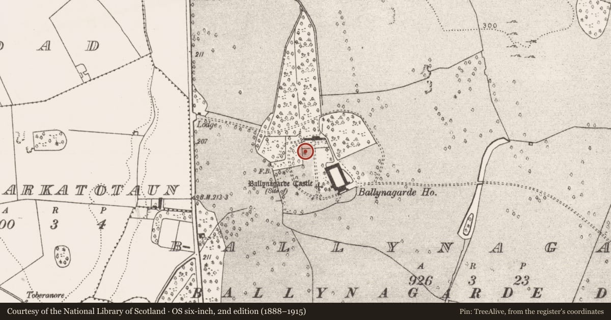Ordnance Survey six-inch map, 2nd edition (1888–1915) covering the location of Field system, Ballynagarde, County Limerick, with a pin at the register's coordinates