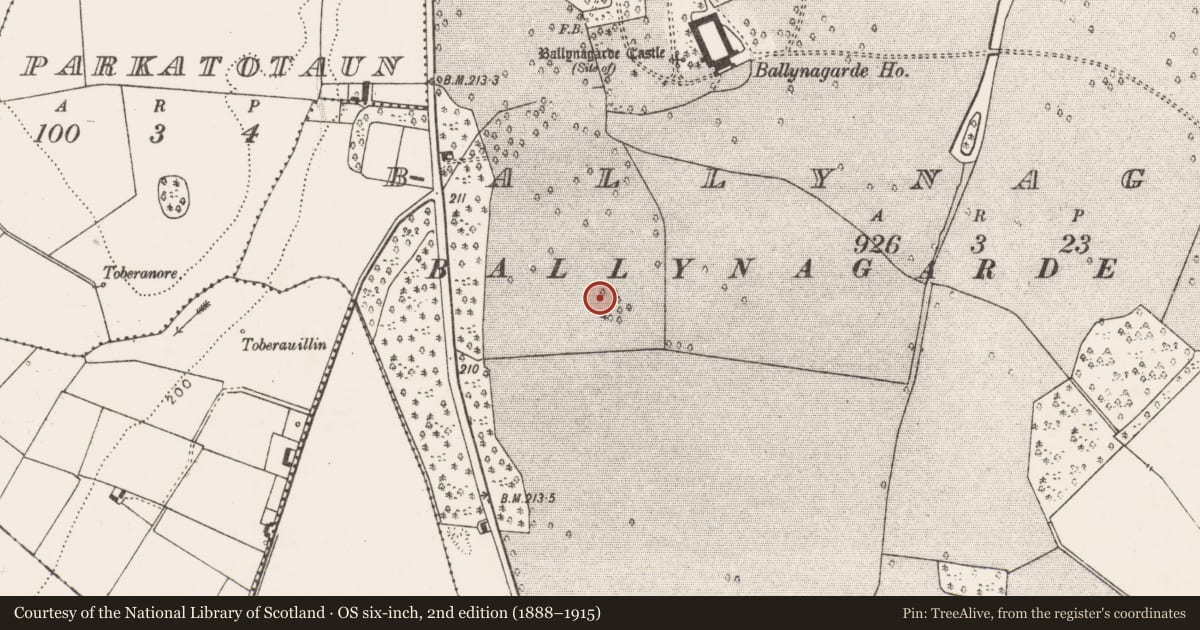 Ordnance Survey six-inch map, 2nd edition (1888–1915) covering the location of Enclosure, Ballynagarde, County Limerick, with a pin at the register's coordinates