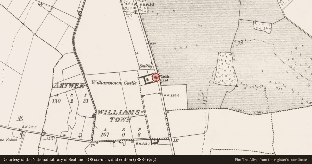 Ordnance Survey six-inch map, 2nd edition (1888–1915) covering the location of Castle - tower house, Ballynagarde, Williamstown, County Limerick, with a pin at the register's coordinates