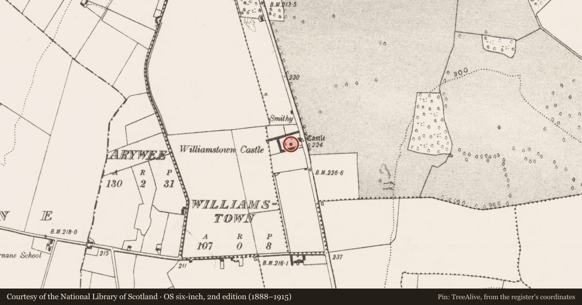 Ordnance Survey six-inch map, 2nd edition (1888–1915) covering the location of Bawn, Ballynagarde, Williamstown, County Limerick, with a pin at the register's coordinates