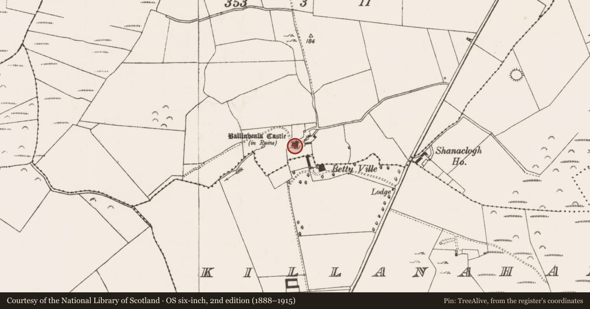 Ordnance Survey six-inch map, 2nd edition (1888–1915) covering the location of Castle - tower house, Ballinveala, County Limerick, with a pin at the register's coordinates