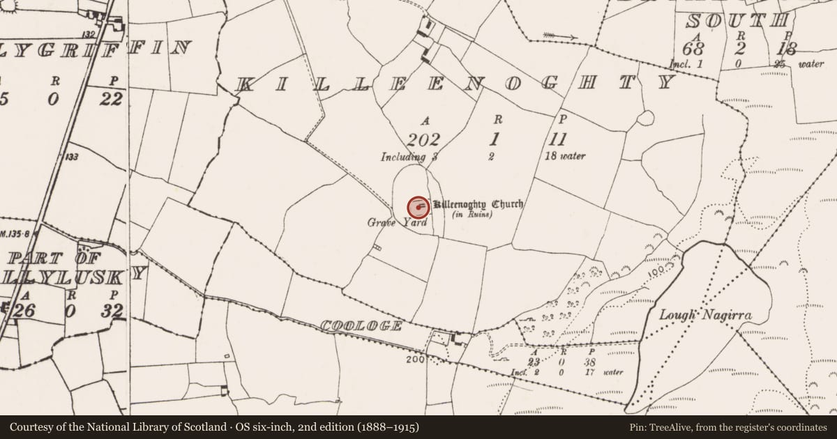 Ordnance Survey six-inch map, 2nd edition (1888–1915) covering the location of Church, Killeenoghty, County Limerick, with a pin at the register's coordinates