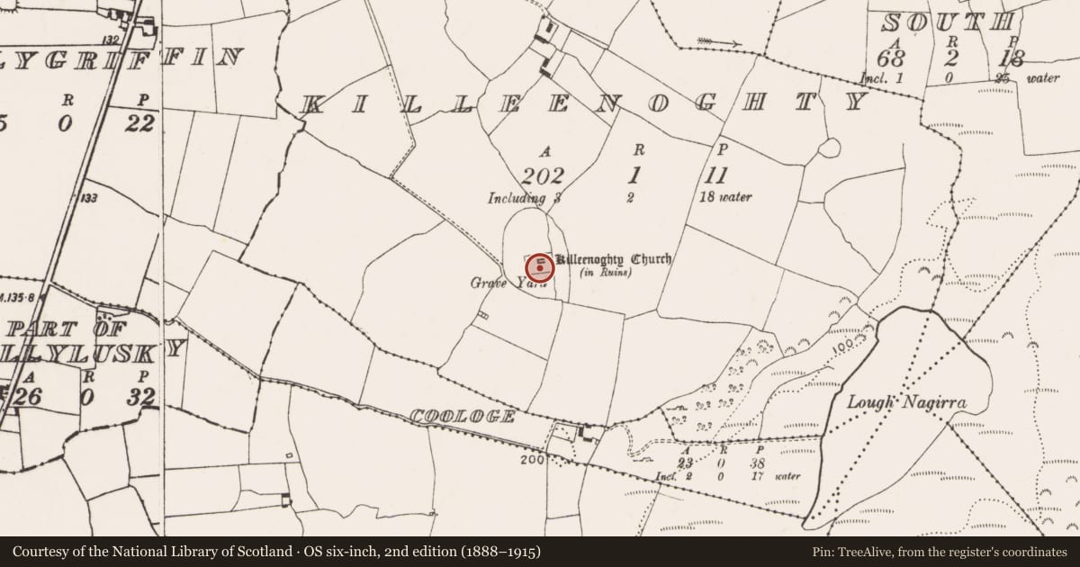 Ordnance Survey six-inch map, 2nd edition (1888–1915) covering the location of Graveyard, Killeenoghty, County Limerick, with a pin at the register's coordinates