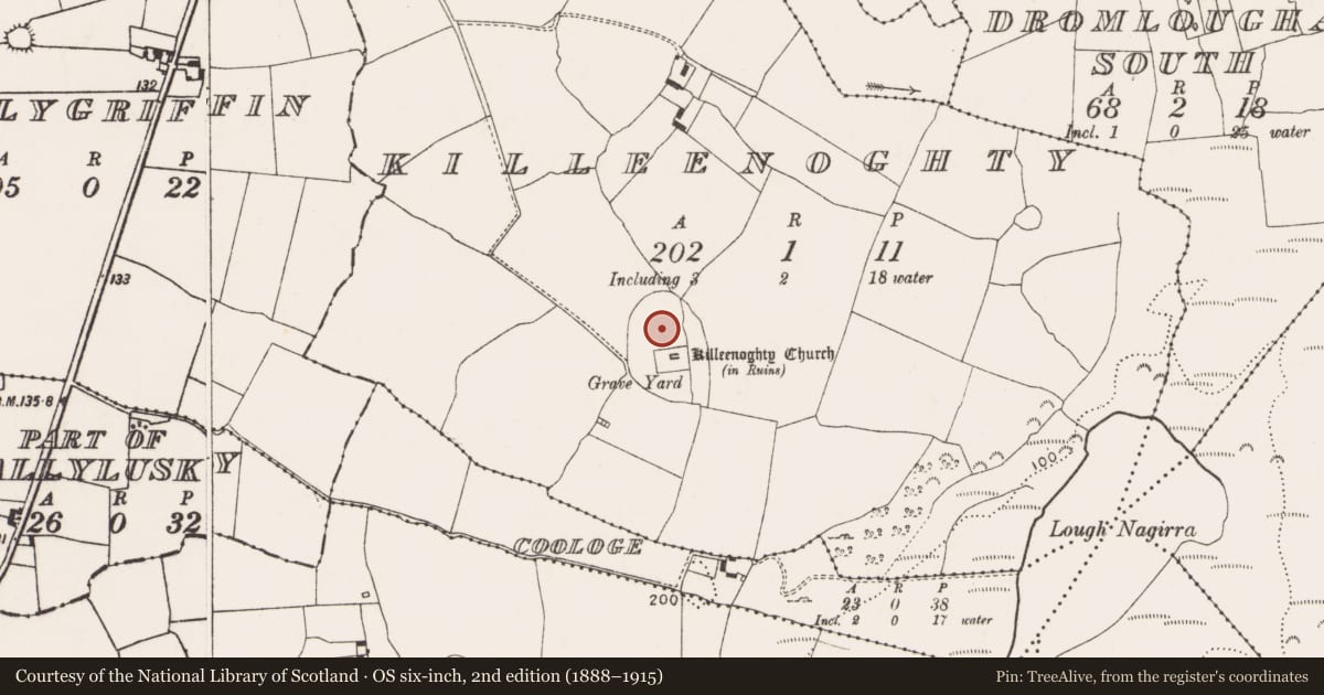 Ordnance Survey six-inch map, 2nd edition (1888–1915) covering the location of Ecclesiastical enclosure, Killeenoghty, County Limerick, with a pin at the register's coordinates
