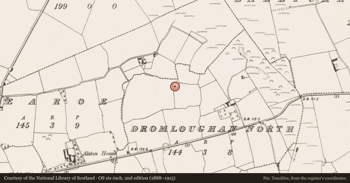 Ordnance Survey six-inch map, 2nd edition (1888–1915) covering the location of Ringfort - unclassified, Dromloughan North, County Limerick, with a pin at the register's coordinates