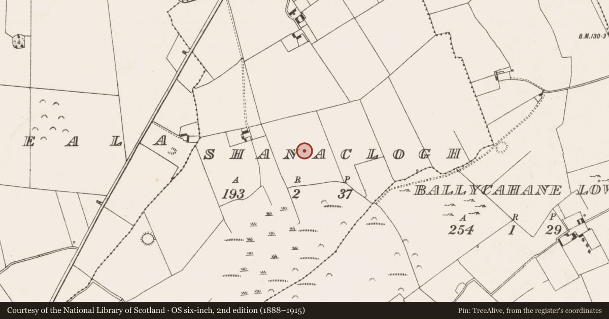 Ordnance Survey six-inch map, 2nd edition (1888–1915) covering the location of Field system, Shanaclogh, County Limerick, with a pin at the register's coordinates