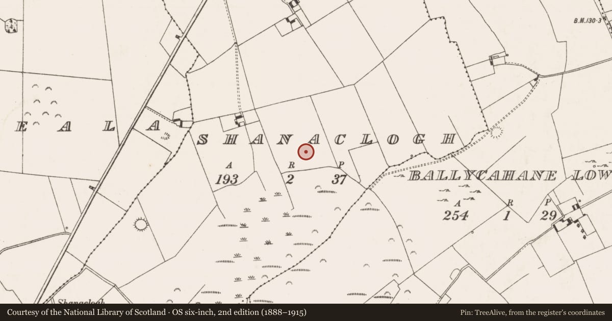 Ordnance Survey six-inch map, 2nd edition (1888–1915) covering the location of Enclosure, Shanaclogh, County Limerick, with a pin at the register's coordinates