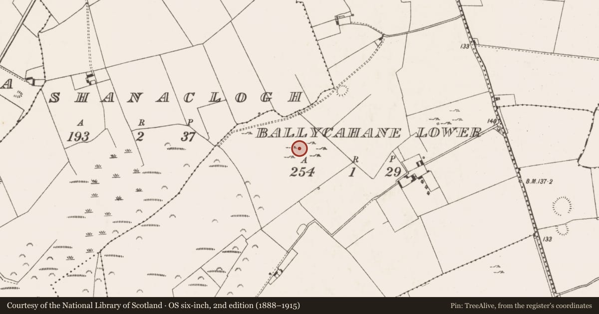 Ordnance Survey six-inch map, 2nd edition (1888–1915) covering the location of Fulacht fia, Ballycahane Lower, County Limerick, with a pin at the register's coordinates