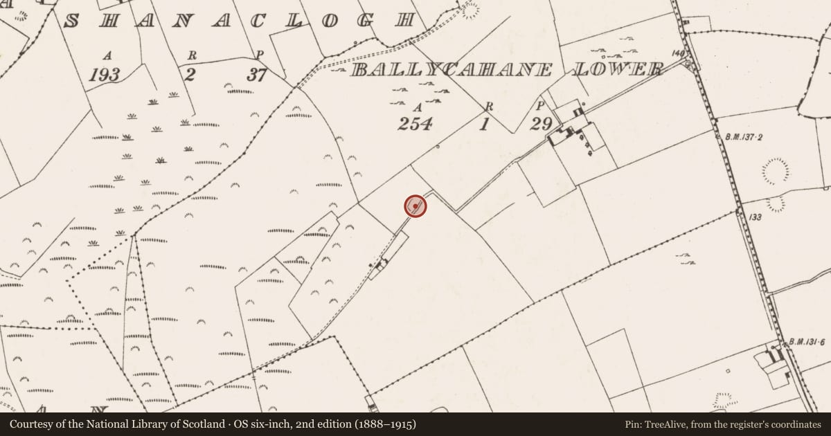 Ordnance Survey six-inch map, 2nd edition (1888–1915) covering the location of Ringfort - rath, Ballycahane Lower, County Limerick, with a pin at the register's coordinates