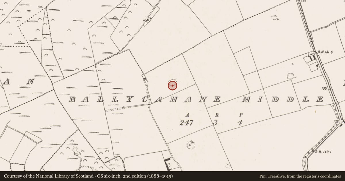 Ordnance Survey six-inch map, 2nd edition (1888–1915) covering the location of Enclosure, Ballycahane Middle, County Limerick, with a pin at the register's coordinates