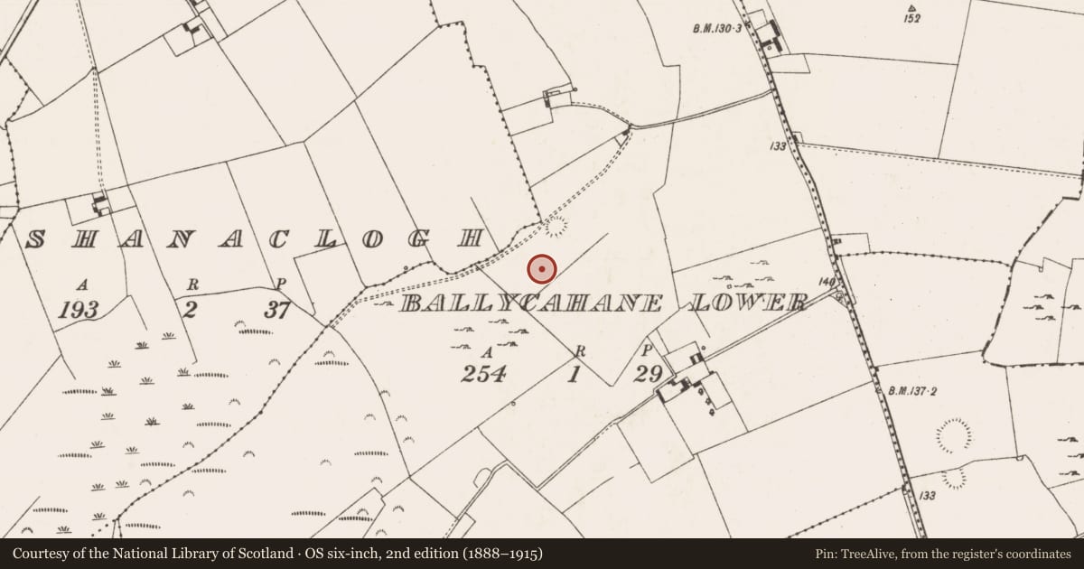 Ordnance Survey six-inch map, 2nd edition (1888–1915) covering the location of Earthwork, Ballycahane Lower, County Limerick, with a pin at the register's coordinates