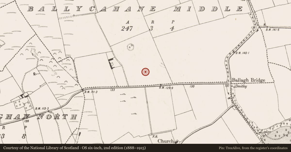 Ordnance Survey six-inch map, 2nd edition (1888–1915) covering the location of Designed landscape - tree-ring, Ballycahane Middle, County Limerick, with a pin at the register's coordinates