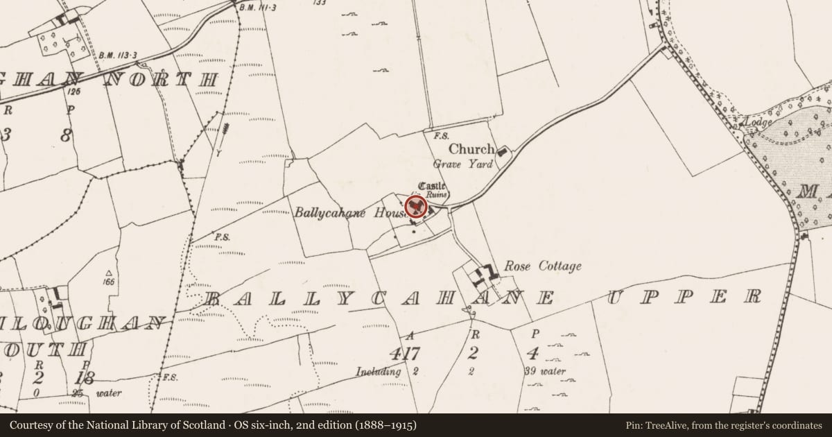 Ordnance Survey six-inch map, 2nd edition (1888–1915) covering the location of Castle - hall-house, Ballycahane Upper, County Limerick, with a pin at the register's coordinates