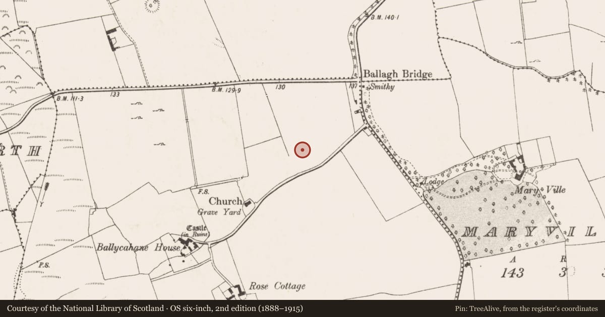 Ordnance Survey six-inch map, 2nd edition (1888–1915) covering the location of Fulacht fia, Ballycahane Upper, County Limerick, with a pin at the register's coordinates