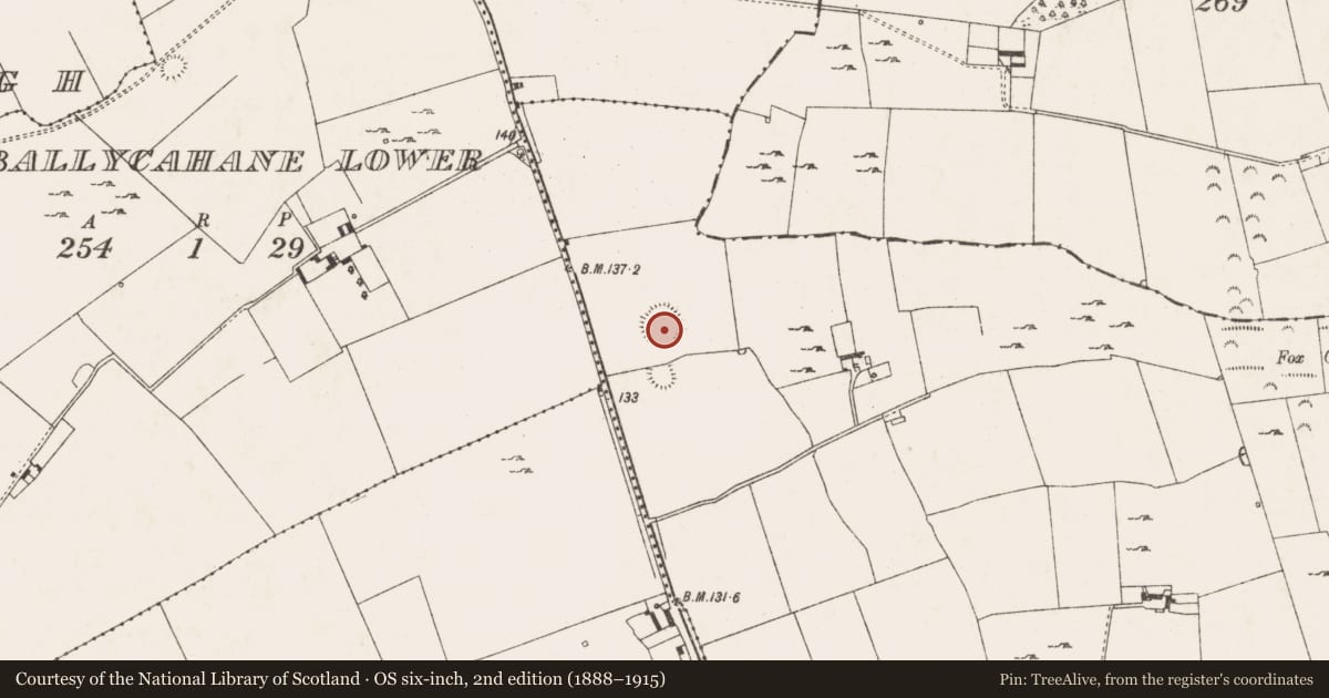 Ordnance Survey six-inch map, 2nd edition (1888–1915) covering the location of Ringfort - rath, Ballyregan, County Limerick, with a pin at the register's coordinates