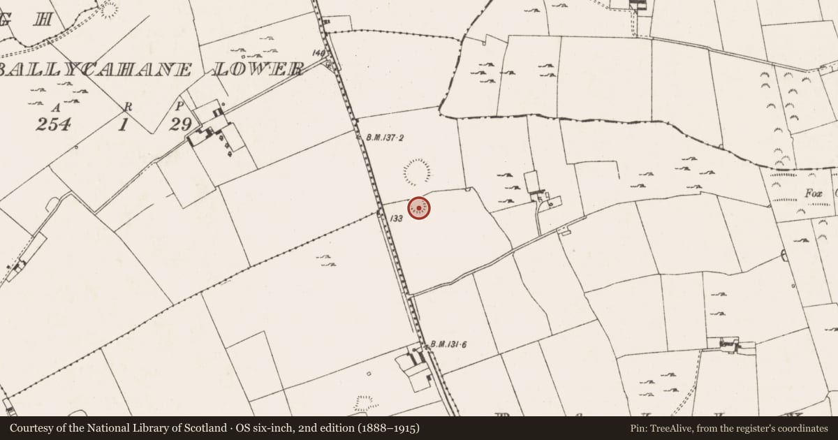 Ordnance Survey six-inch map, 2nd edition (1888–1915) covering the location of Enclosure, Ballyregan, County Limerick, with a pin at the register's coordinates