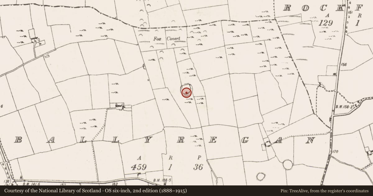 Ordnance Survey six-inch map, 2nd edition (1888–1915) covering the location of Ringfort - unclassified, Ballyregan, County Limerick, with a pin at the register's coordinates