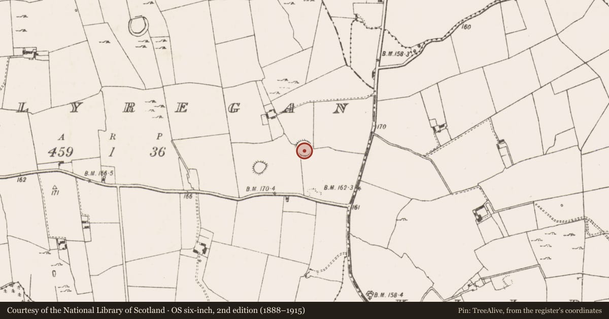 Ordnance Survey six-inch map, 2nd edition (1888–1915) covering the location of Ringfort - rath, Ballyregan, County Limerick, with a pin at the register's coordinates