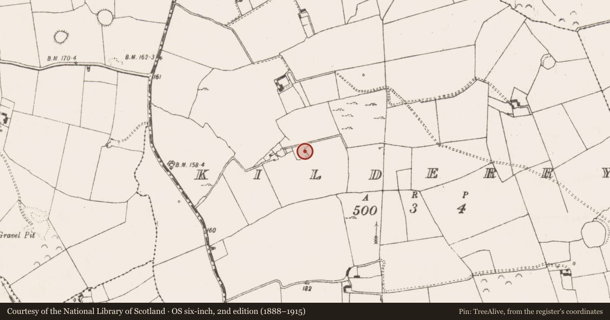 Ordnance Survey six-inch map, 2nd edition (1888–1915) covering the location of Moated site, Kilderry, County Limerick, with a pin at the register's coordinates