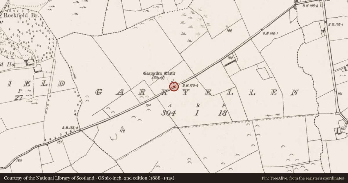 Ordnance Survey six-inch map, 2nd edition (1888–1915) covering the location of Castle - unclassified, Garryellen, County Limerick, with a pin at the register's coordinates