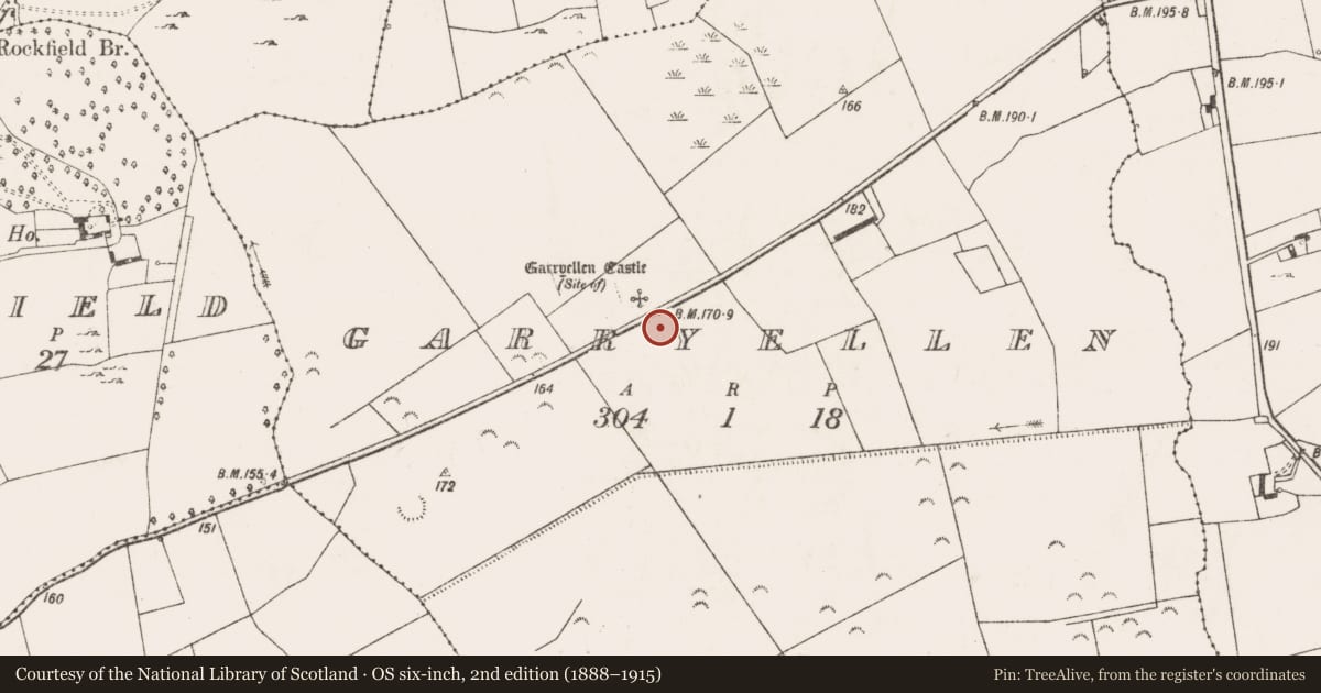Ordnance Survey six-inch map, 2nd edition (1888–1915) covering the location of Bawn, Garryellen, County Limerick, with a pin at the register's coordinates
