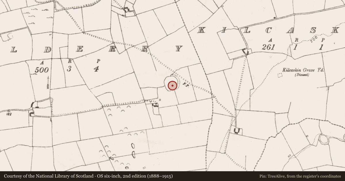 Ordnance Survey six-inch map, 2nd edition (1888–1915) covering the location of Enclosure - large enclosure, Kilderry, County Limerick, with a pin at the register's coordinates