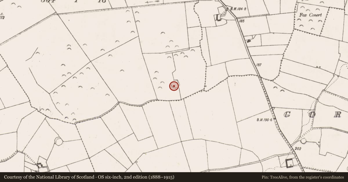 Ordnance Survey six-inch map, 2nd edition (1888–1915) covering the location of Ringfort - rath, Garryellen, County Limerick, with a pin at the register's coordinates